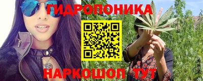 гашик Кинель