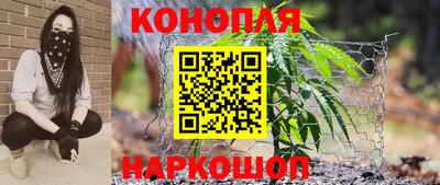 гашик Кинель
