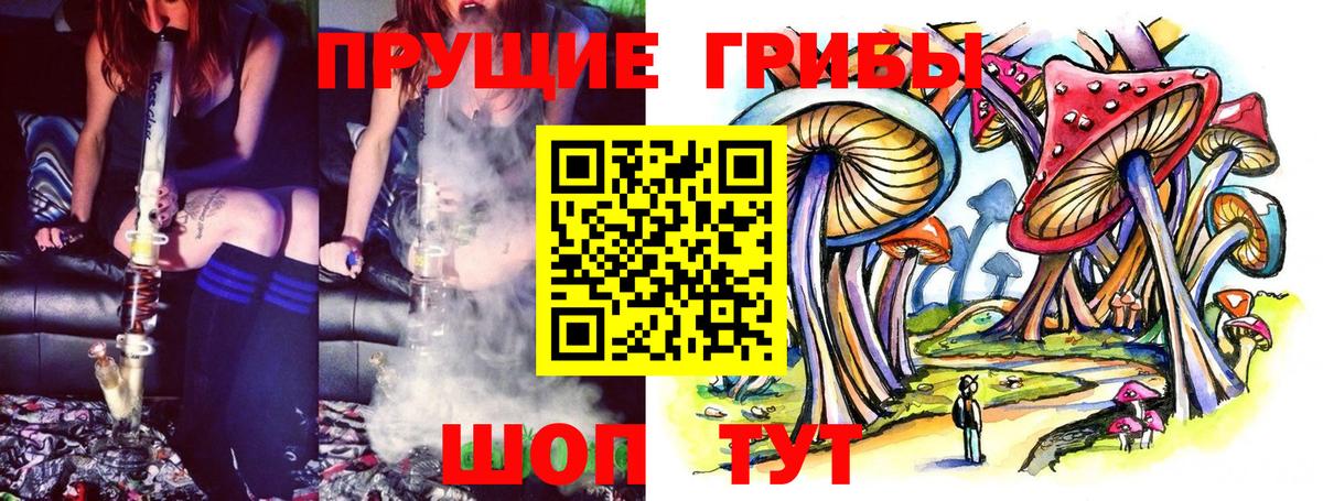 Галлюциногенные грибы GOLDEN TEACHER  Вход с VPN  Коряжма  Галлюциногенные грибы мицелий 